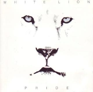 Arema white lion